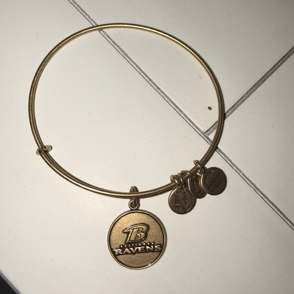 Baltimore ravens alex and ani